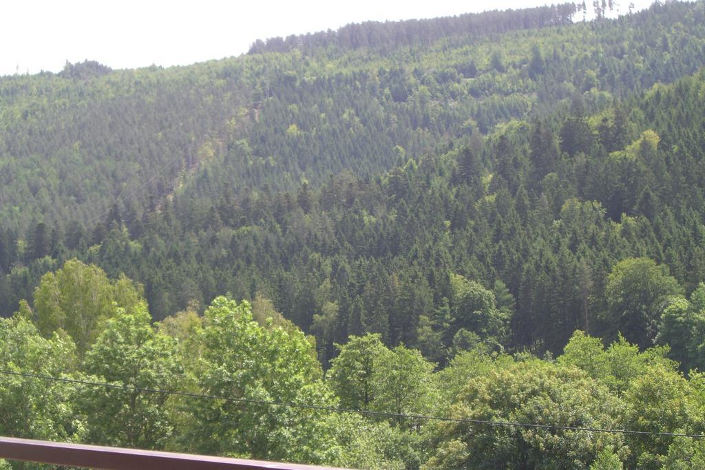 Ferienwohnung Waldblick Bad Wildbad Zimmer foto